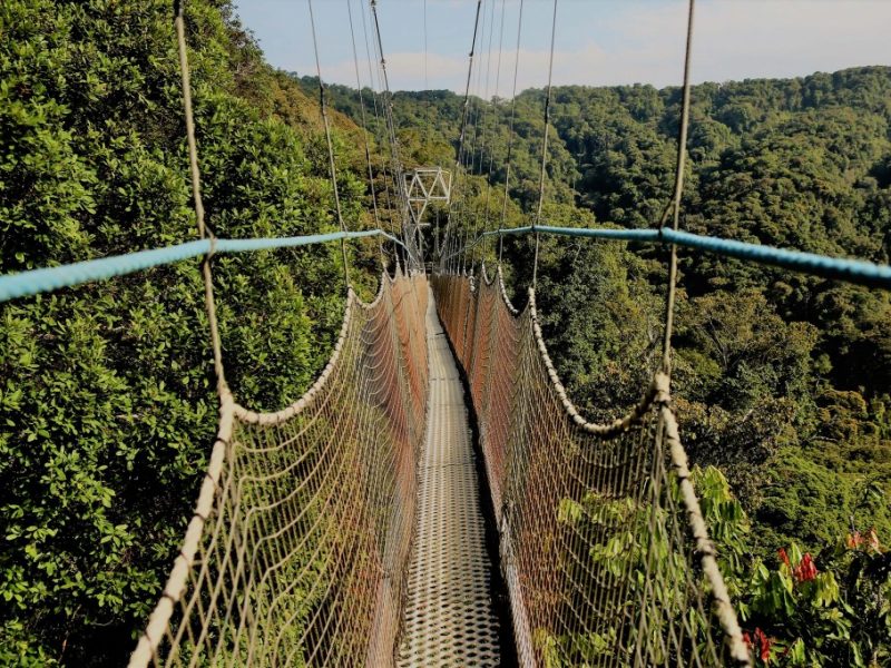 Beyond the hills tours is a travel agency company