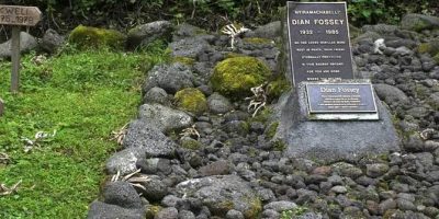dian fossey